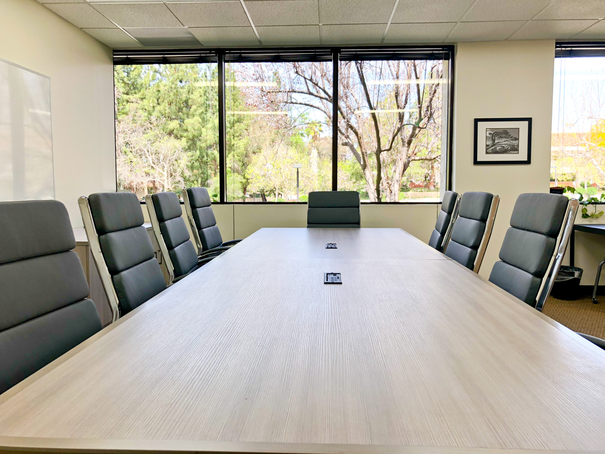 Modern Coworking Area