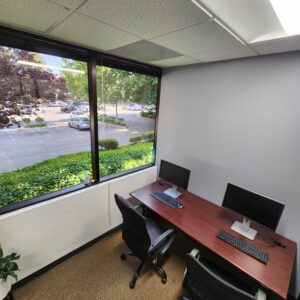 Standard Coworking Virtual Office Plan